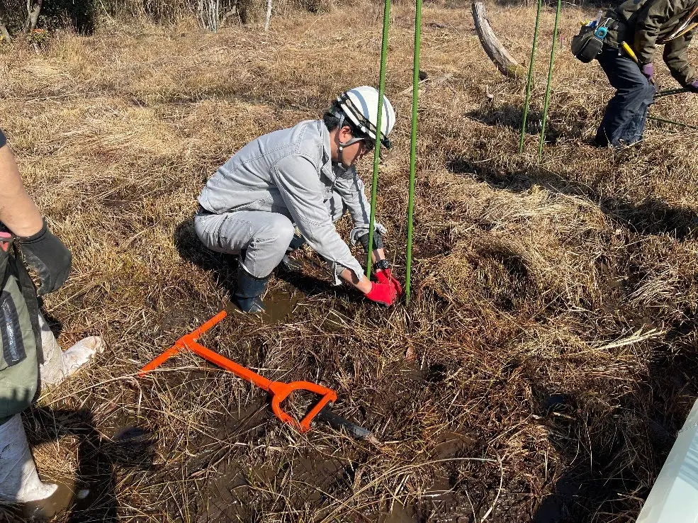 紀伊半島エリア各地でのセンダン・ヤナギ類・ナラ類・カシ類等の育苗～植林～搬出実証本格